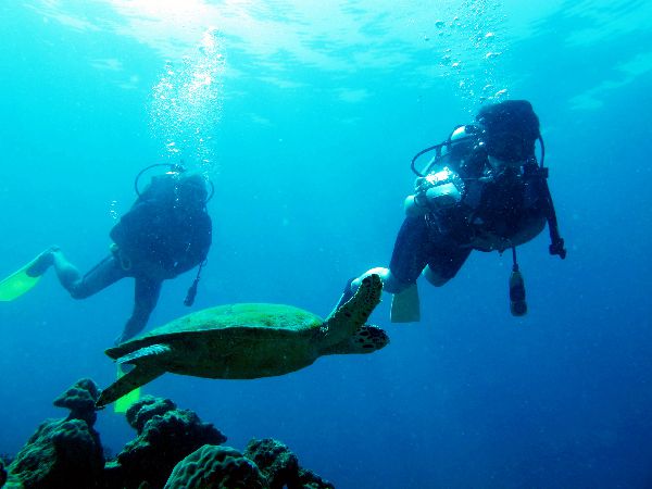 Learn to dive at Mantanani Isalnd